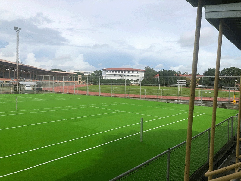 Durable Artificial Turf 
