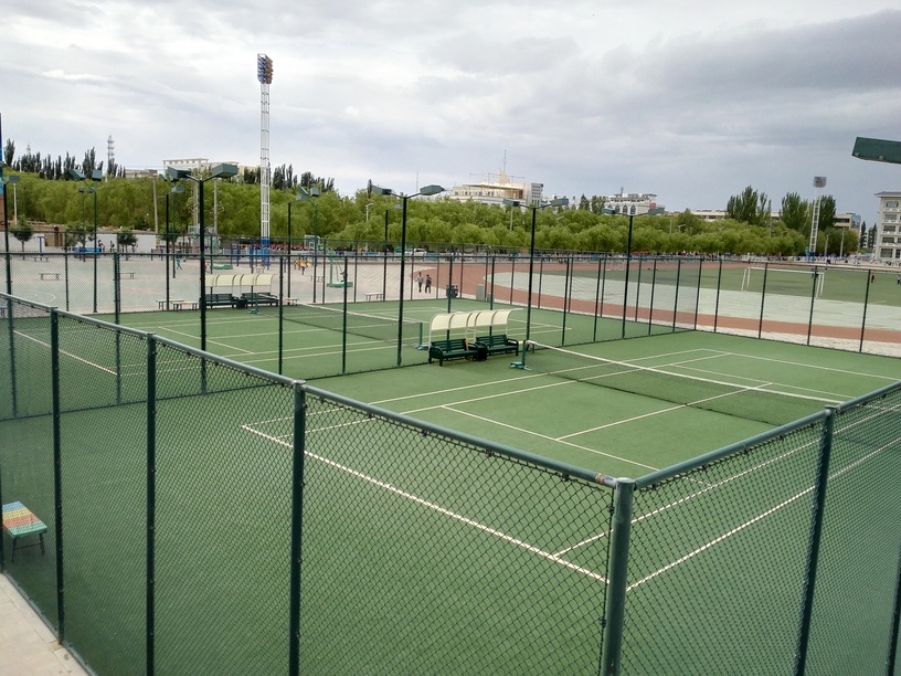 Artificial grass for multi-sport field